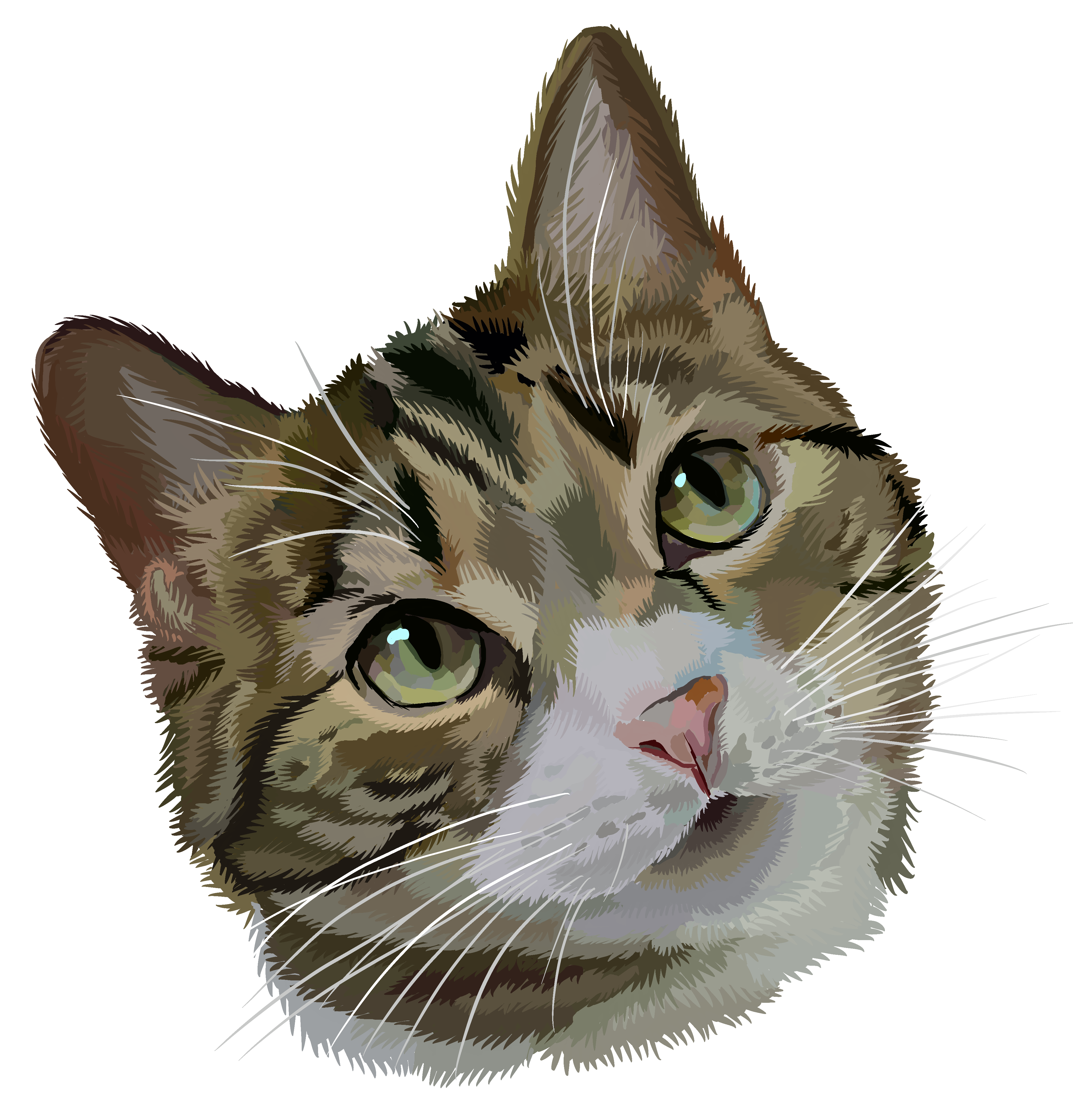 Brown cat digital illustration