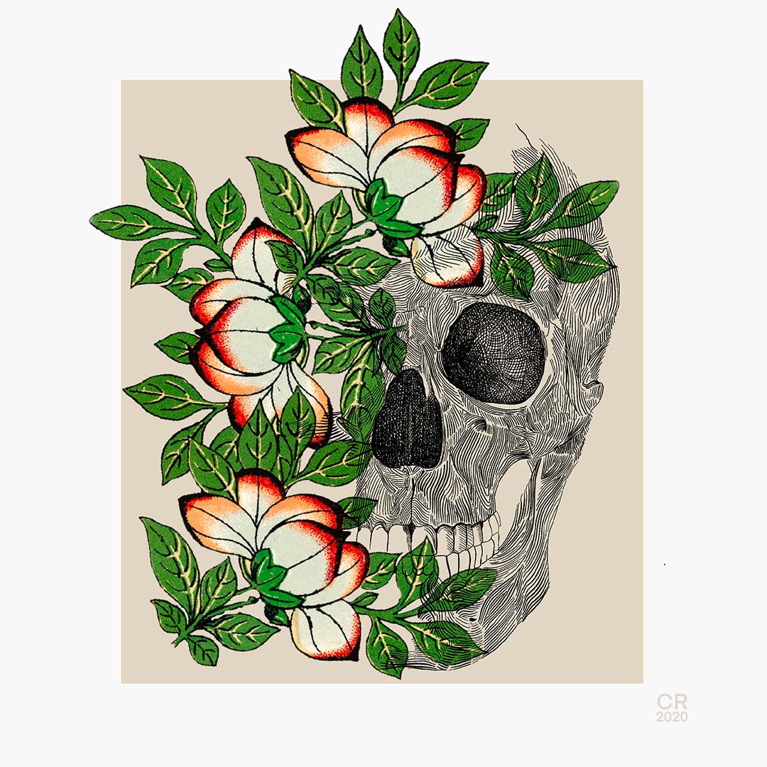 Skull and flowers digital illustration