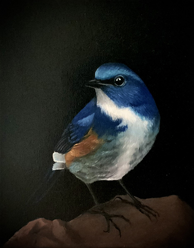 Blue bird oil painting