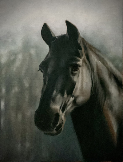 Black horse portrait oil painting